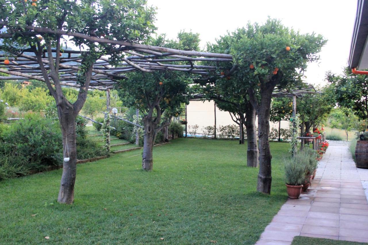 Terra E Cielo Bed & Breakfast Pagani Dış mekan fotoğraf