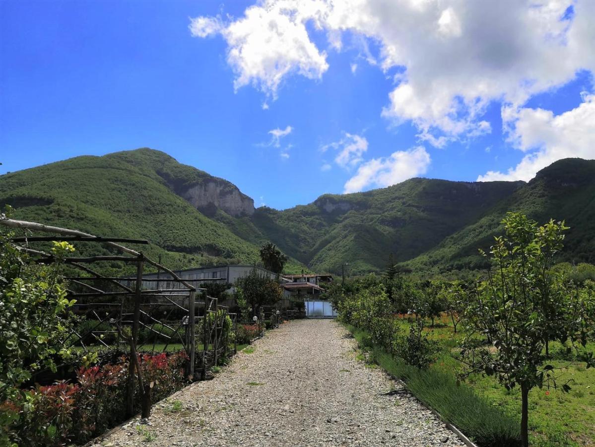 Terra E Cielo Bed & Breakfast Pagani Dış mekan fotoğraf